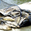 요덕골낚시터 이미지