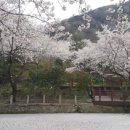 동광농장 이미지