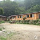 만산수목원 티스토리