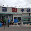 새우야반가워