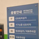 선프라자 앞 | 해운대페이스왁싱 성형 시술없이 깐달걀 피부 이마볼륨 만든 후기 강력추천 : 보르다스튜디오