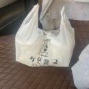 강원도 평창 숙소 “평창갤럭시엑스카라반 팬션”
