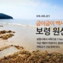 (유)바다관광