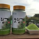 티나농장 이미지