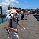 오케이택시(주) 이미지