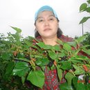 동서농장 이미지