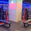 파워 마스터짐 이미지