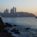 동백섬의 일출 이미지