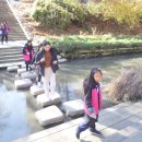 새빛지역아동센터 이미지