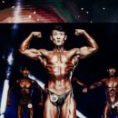 머슬팩토리