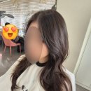 모우헤어