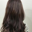 참빗헤어크루 이미지