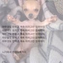 삼일 | 극쫄의 삼일보육원 방탈출 후기(재밌음)