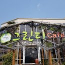 그린티하우스 이미지