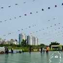 수육런 2025 수육마라톤 참가 후기 :: 제19회 금천구청배 금천사랑마라톤대회