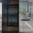 서호동 여객선 터미널 이미지