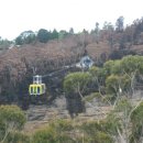 물레방아영양탕 이미지