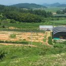 좋은농장 이미지