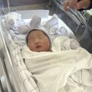 7살+238일. 2024.7.26. 이미지