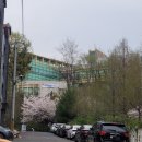 서상동135 이미지