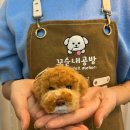 꼬순내공방 네이버블로그