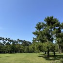 한림배수문 근처 공원 | 여름에도 시원하게! 제주 한림 가볼만한곳 한림공원 방문기