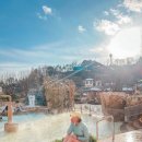 라이프스파랜드 | 캐리비안베이 온수 윈터스파 개장 에버랜드까지 최저가 예약