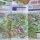 행복후레쉬푸드 | [울산 축제] 장미향 한 가득~ &#34;울산대공원 장미축제&#34; 다녀온 후기