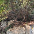 이칠약수터 이미지