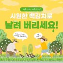 여름 무더위☀️ 시원한 백김치로 날려 버리세요!🥬