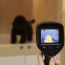 옐레드 시흥은계호수점 이미지