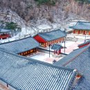 여명산림개발