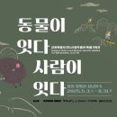 평창황병산사냥민속 이미지