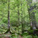 에이디 건축사사무소 이미지