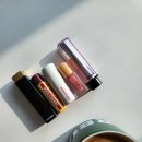 잡똥사니 | 망각은 선물인데 욕심은 끝