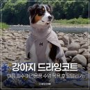 여름 필수 애견용품 강아지수영 목욕 후 털말리기 논스톱도그웨어 드라잉코트