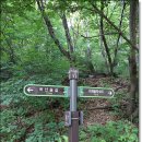경기둘레길 김포58코스 Daum카페