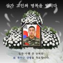 ■ 해병대:- 故* 채수근상병= 삼가 고인(후뱨)의 명복을 빕니다 이미지