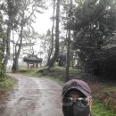 정운공순의비 이미지