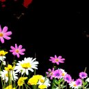 아름다운 야생화(꽃) 일러스트(이미지) 이미지