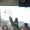 맑은누리태권도 | [무주 _반디랜드] 전북 패스카드 후기