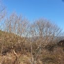 수목부동산중개사무소 이미지