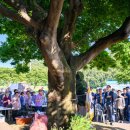 상덕마을 이미지