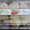 호정농장 이미지