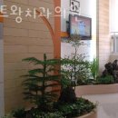 퍼스트왕치과의원 네이버블로그