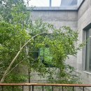 포근카페 | 포천 고모리 카페 '포옥(Po.oak)', 초록빛 자연에 포근하게 안기는 뷰맛집 대형카페 솔직후기 🌿