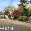봉양 ㅡ 최양업토마스신부 이미지
