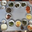 조개골산장 | [경남 산청] 조개골산장 한방 닭백숙 맛집 내돈내산 후기 대원사 계곡