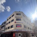 다양하개 | 의정부애견카페 다양하개 의정부본점, 강아지랑 다녀온 솔직 후기