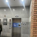 요가 오후반 | 경성대 수영장 초급반 후기(오후반) 임신 12주 강습 수영 후기